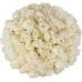 Inspiraterra - 100 Long Stem Roses - Fresh Cut. Delivered at Your Door Within 4 Business Days. (Bulk) (White)